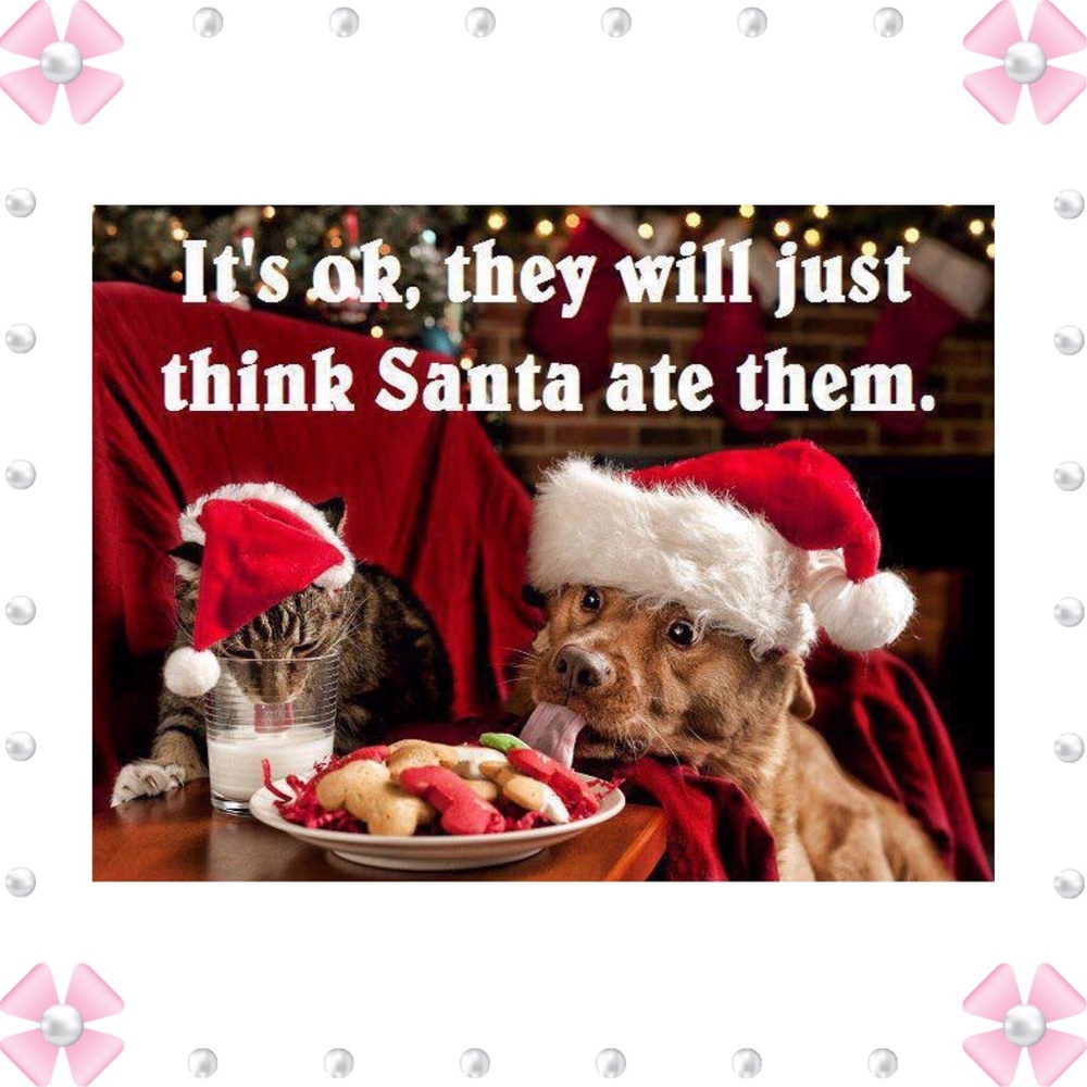 FYI ❤️Recipes Christmas Variety